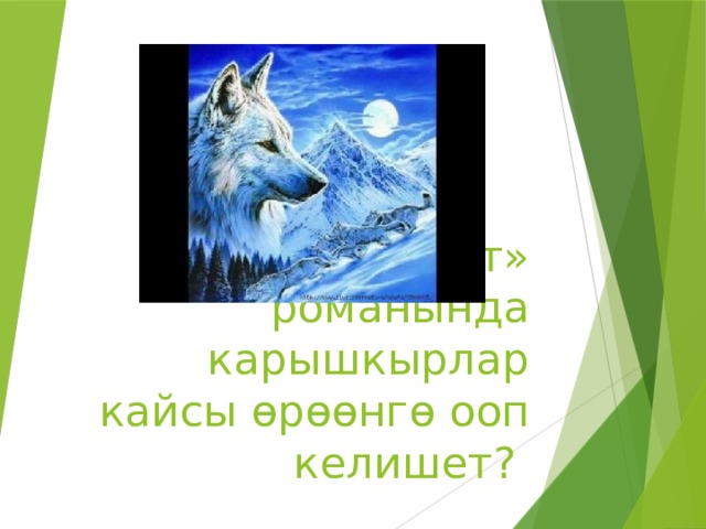 «Кыямат» романында карышкырлар кайсы ɵрɵɵнгɵ ооп келишет?  