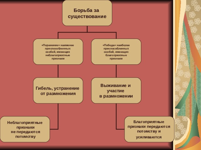 Борьба за существование и естественный отбор движущие силы эволюции 9 класс презентация