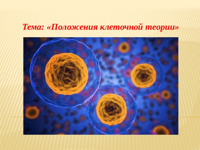 Тема: «Положения клеточной теории» 