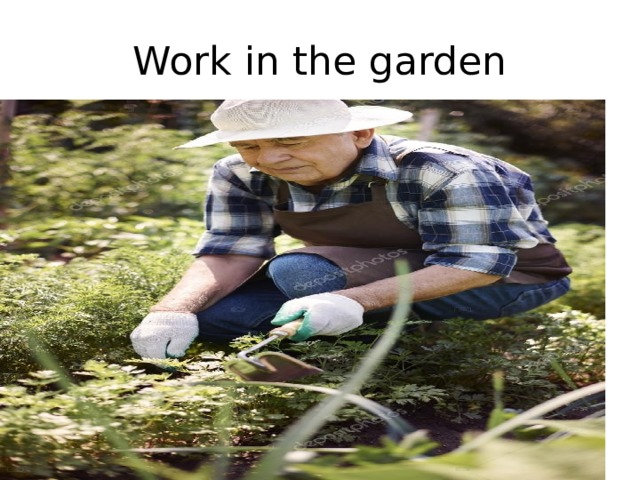 Work in the garden 