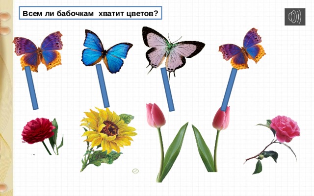 Всем ли бабочкам хватит цветов? 