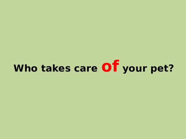 Who takes care of your pet? 