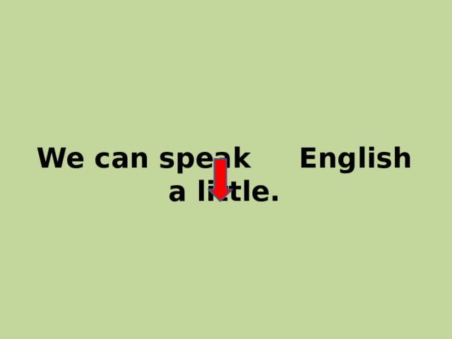 We can speak English a little. 