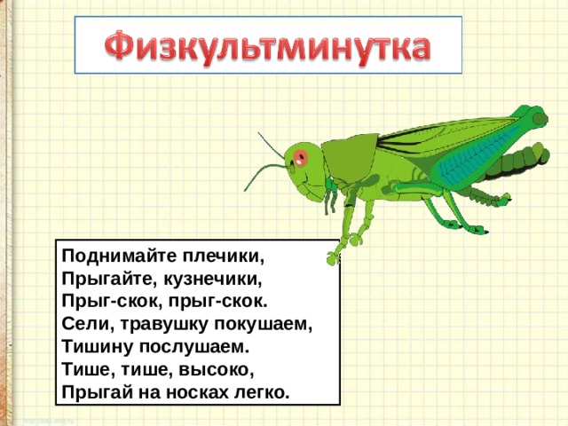 Какой тип питания характерен для зеленого кузнечика изображенного на рисунке