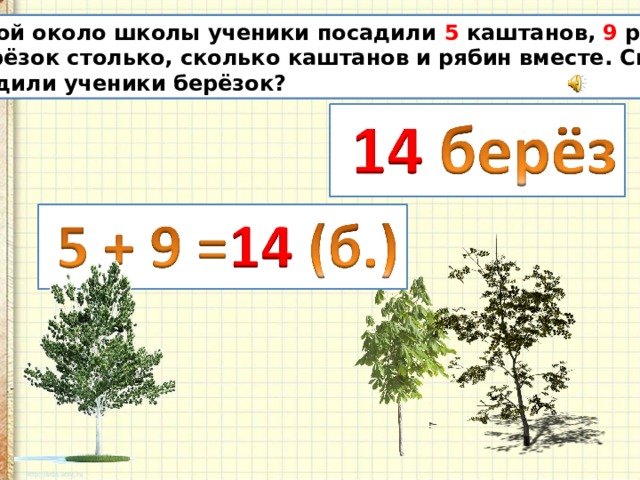 В парке 40 берез количество. Около школы посадили 8. Около школы посадили 8 лип. Около школы посадили 30 деревьев. Липы и березы посадили.