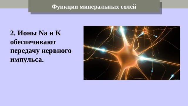 Функции минеральных солей 2. Ионы Na и K обеспечивают передачу нервного импульса. 