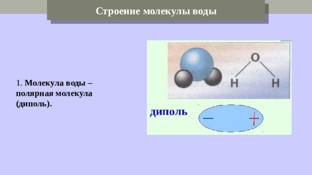 Строение молекулы воды 1. Молекула воды – полярная молекула (диполь). 