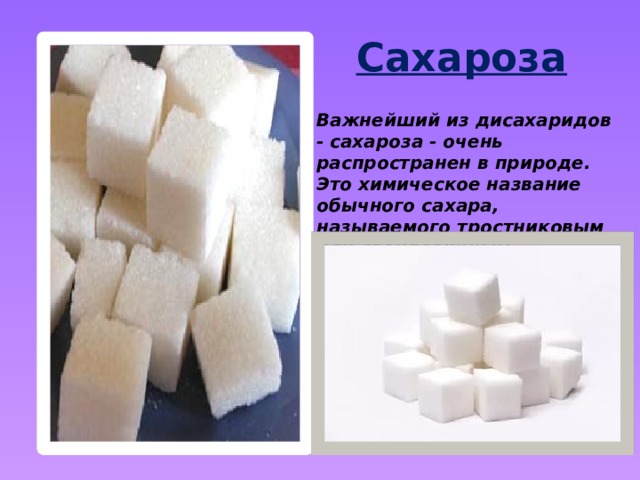 Сахароза Важнейший из дисахаридов - сахароза - очень распространен в природе. Это химическое название обычного сахара, называемого тростниковым или свекловичным. 
