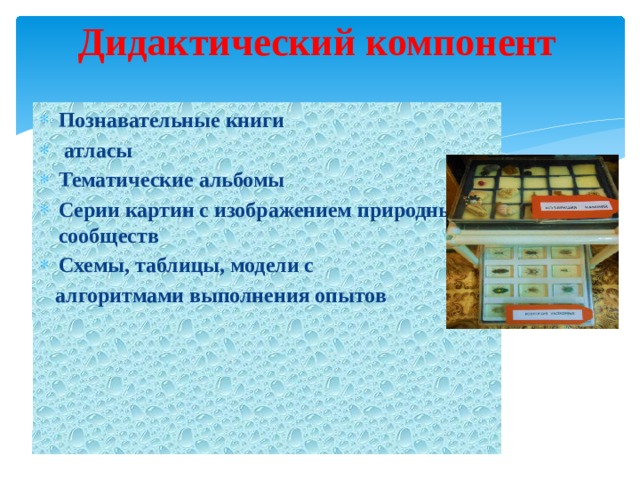 Дидактический компонент Познавательные книги  атласы Тематические альбомы Серии картин с изображением природных сообществ Схемы, таблицы, модели с  алгоритмами выполнения опытов 