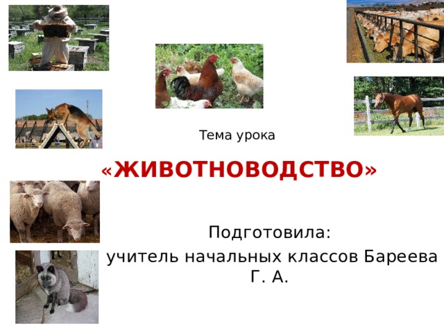 Животноводство 3 класс окружающий мир. Окружающий мир 3 класс тема урока животноводство. Презентация к уроку животноводство 3 класс школа России. Презентация животноводство в Молдове.