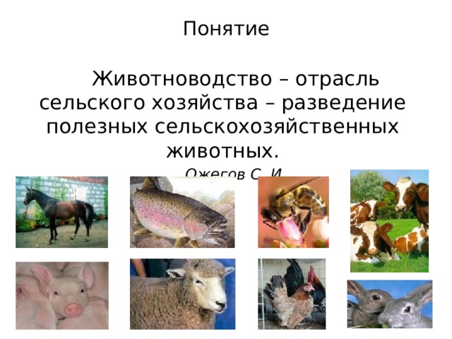 Понятие животноводство. Термины животноводства. Необычные отрасли животноводства. Отрасли животноводства 3 класс окружающий мир.