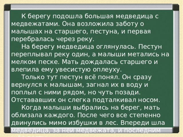  К берегу подошла большая медведица с медвежатами. Она возложила заботу о малышах на старшего, пестуна, и первая перебралась через реку.  На берегу медведица оглянулась. Пестун переплывал реку один, а малыши метались на мелком песке. Мать дождалась старшего и влепила ему увесистую оплеуху.  Только тут пестун всё понял. Он сразу вернулся к малышам, загнал их в воду и поплыл с ними рядом, но чуть позади. Отстававших он слегка подталкивал носом.  Когда малыши выбрались на берег, мать облизала каждого. После чего все степенно двинулись мимо избушки в лес. Впереди шла медведица, за ней медвежата, и последним шёл пестун. 