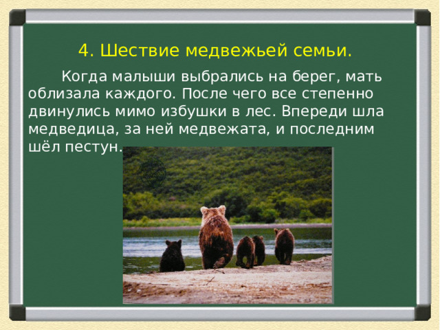 4. Шествие медвежьей семьи.  Когда малыши выбрались на берег, мать облизала каждого. После чего все степенно двинулись мимо избушки в лес. Впереди шла медведица, за ней медвежата, и последним шёл пестун. 