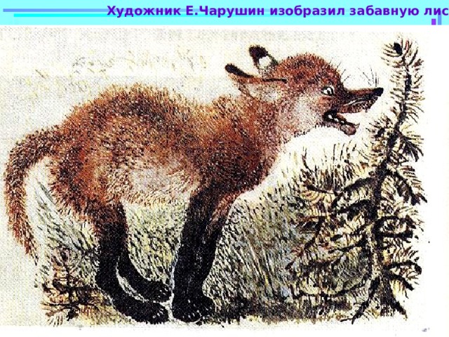 Художник Е.Чарушин изобразил забавную лисичку. 