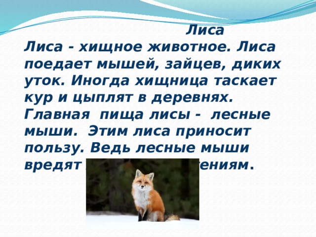 Охотник нашел в лесу лисенка он принес. Какую пользу приносит лиса. Какую пользу приносит лиса человеку. Охотник нашел в лесу Лисенка он принес его домой.