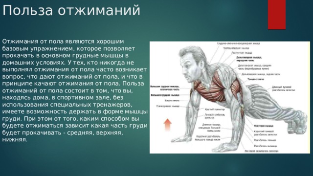 �������� ���� ������-���: ����.