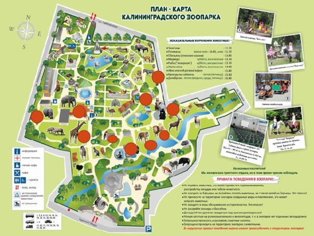 Карельский зоопарк карта