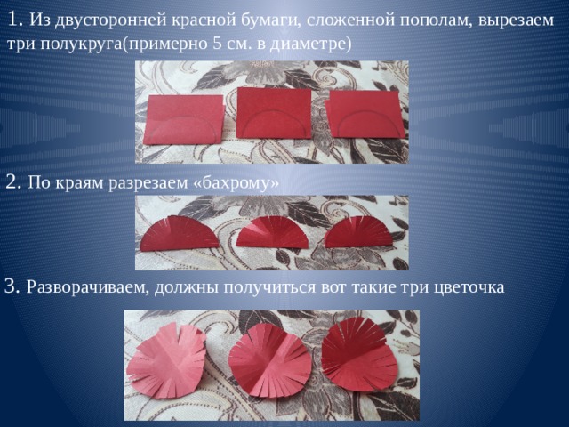 1. Из двусторонней красной бумаги, сложенной пополам, вырезаем три полукруга(примерно 5 см. в диаметре) 2. По краям разрезаем «бахрому» 3. Разворачиваем, должны получиться вот такие три цветочка 