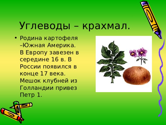 Родина картофеля –Южная Америка. В Европу завезен в середине 16 в. В России появился в конце 17 века. Мешок клубней из Голландии привез Петр 1 . 