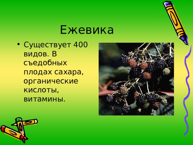 Существует 400 видов. В съедобных плодах сахара, органические кислоты, витамины. 