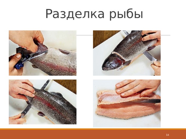 Разделка рыбы  