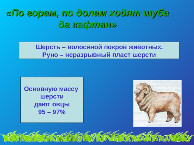 «По горам, по долам ходят шуба да кафтан» Шерсть – волосяной покров животных. Руно – неразрывный пласт шерсти Основную массу шерсти  дают овцы 95 – 97% 