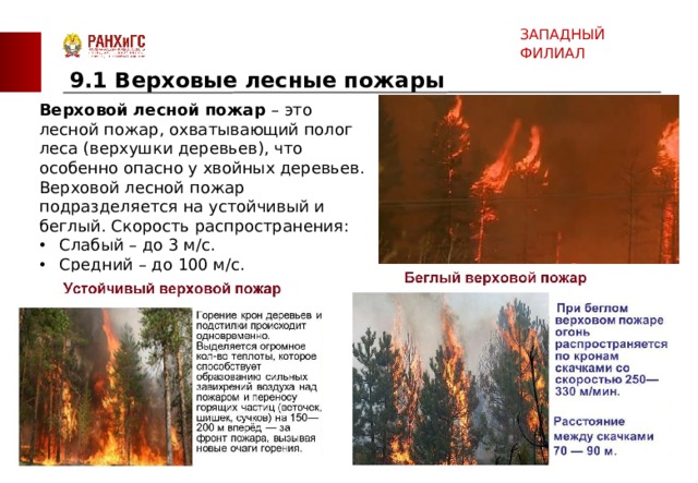 Верховой пожар сдо ржд. Лесной пожар охватывающий полог леса. Презентация на тему Лесные пожары. Верховой пожар. Лесной верховой пожар скорость.