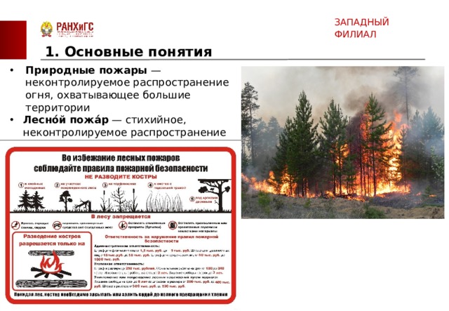 Презентация на тему лесные пожары 9 класс
