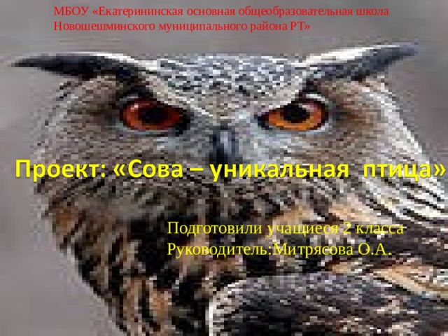 МБОУ «Екатерининская основная общеобразовательная школа Новошешминского муниципального района РТ» Подготовили учащиеся 2 класса Руководитель:Митрясова О.А. 