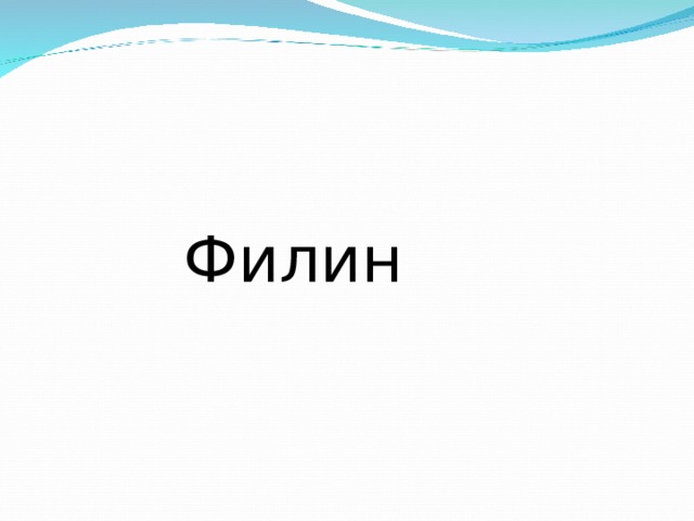  Филин 