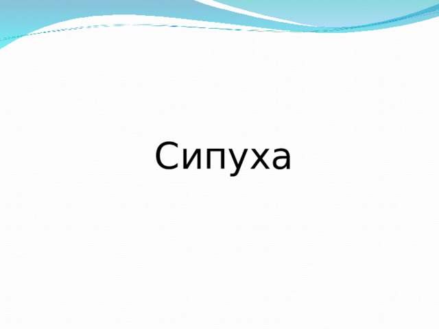  Сипуха 