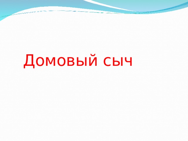 Домовый сыч 