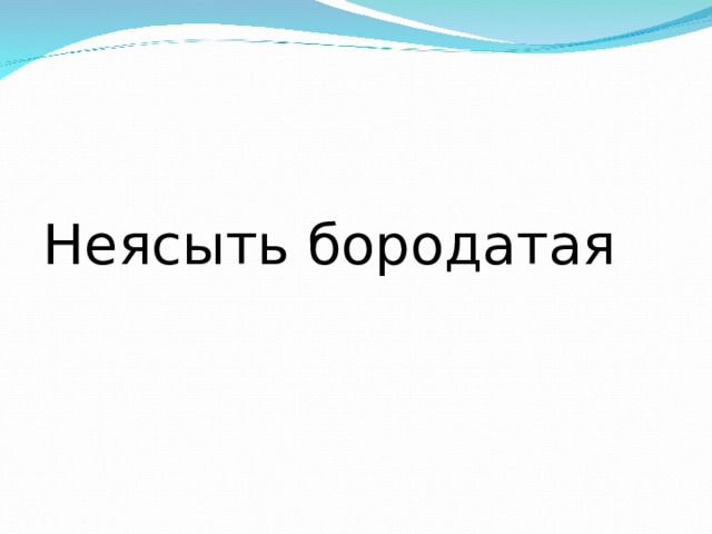 Неясыть бородатая 