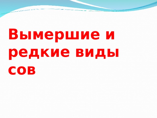 Вымершие и редкие виды сов   