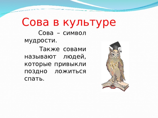 Какая птица символ мудрости. Сова символ чего. Сова символ мудрости и знаний. Сова в культуре.