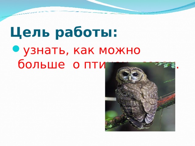 Цель работы:   узнать, как можно больше о птицах - совах. 