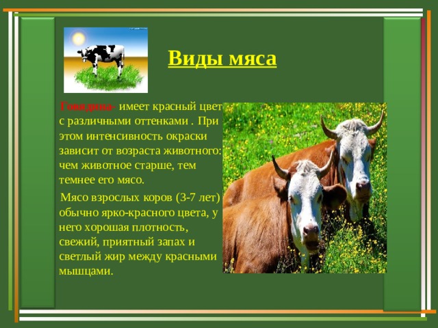 Виды мяса  Говядина - имеет красный цвет с различными оттенками . При этом интенсивность окраски зависит от возраста животного: чем животное старше, тем темнее его мясо.  Мясо взрослых коров (3-7 лет) обычно ярко-красного цвета, у него хорошая плотность, свежий, приятный запах и светлый жир между красными мышцами.  Говядина - имеет красный цвет с различными оттенками . При этом интенсивность окраски зависит от возраста животного: чем животное старше, тем темнее его мясо.  Мясо взрослых коров (3-7 лет) обычно ярко-красного цвета, у него хорошая плотность, свежий, приятный запах и светлый жир между красными мышцами.  Говядина - имеет красный цвет с различными оттенками . При этом интенсивность окраски зависит от возраста животного: чем животное старше, тем темнее его мясо.  Мясо взрослых коров (3-7 лет) обычно ярко-красного цвета, у него хорошая плотность, свежий, приятный запах и светлый жир между красными мышцами. 