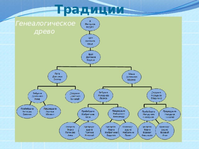 Традиции Генеалогическое древо 