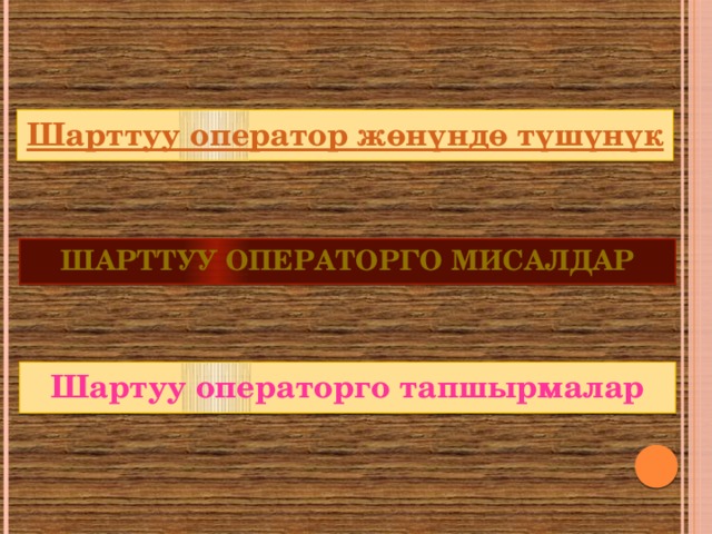 Шарттуу операторго мисалдар Шартуу операторго тапшырмалар 