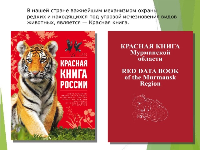 В нашей стране важнейшим механизмом охраны редких и находящихся под угрозой исчезновения видов животных, является — Красная книга .  