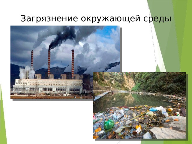 Загрязнение окружающей среды 