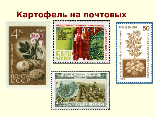 Картофель на почтовых марках.  
