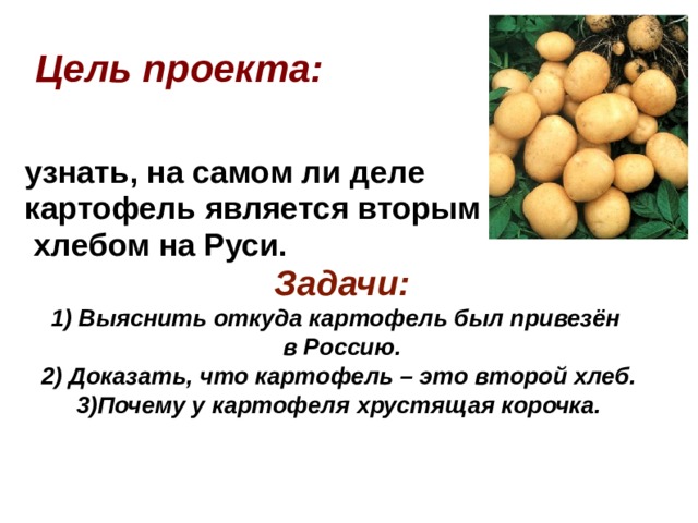 Цель проекта: узнать, на самом ли деле картофель является вторым  хлебом на Руси.   Задачи: 1) Выяснить откуда картофель был привезён  в Россию. 2) Доказать, что картофель – это второй хлеб. 3)Почему у картофеля хрустящая корочка.  