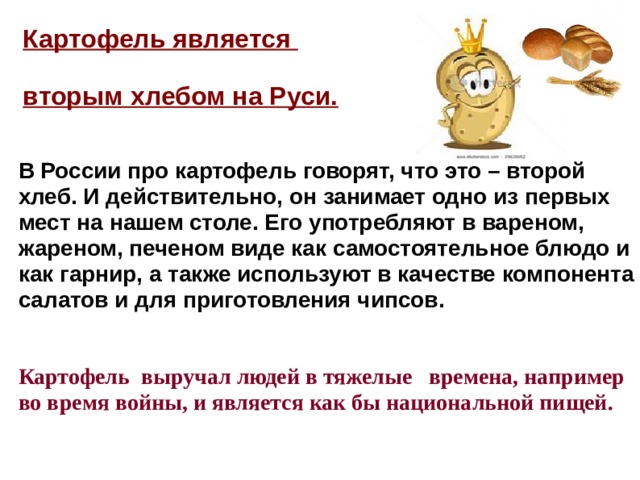      В России про картофель говорят, что это – второй хлеб. И действительно, он занимает одно из первых мест на нашем столе. Его употребляют в вареном, жареном, печеном виде как самостоятельное блюдо и как гарнир, а также используют в качестве компонента салатов и для приготовления чипсов.   Картофель выручал людей в тяжелые времена, например во время войны, и является как бы национальной пищей.  Картофель является   вторым хлебом на Руси.    