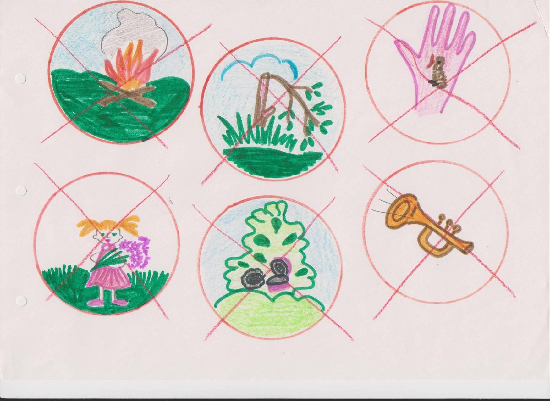 Какой знак можно нарисовать. Знаки охраны природы. Экологические знаки по охране природы. Экологические знаки природы для детей. Знак охраны природы для детей.
