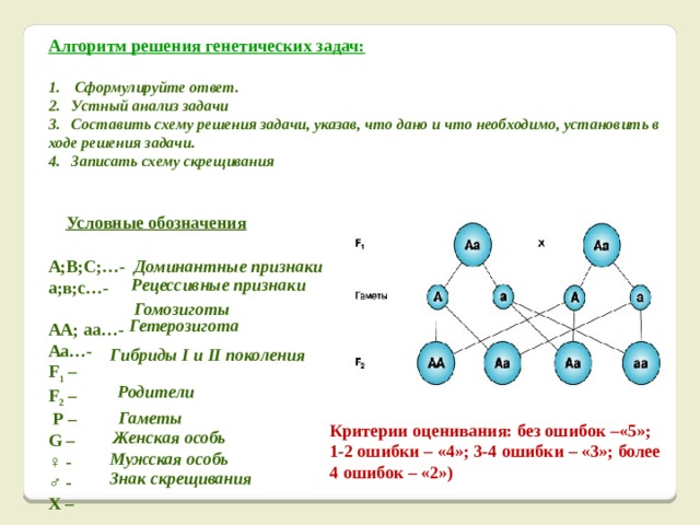 Решение по биологии