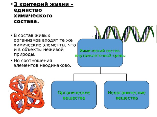 Химические организмы в природе