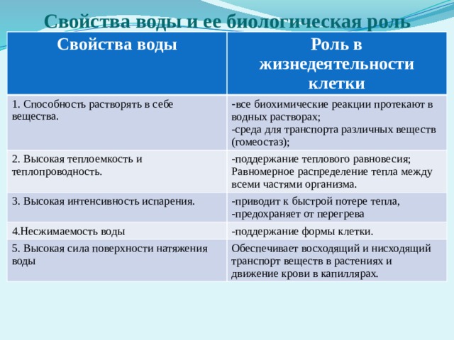 Свойства воды и ее биологическая роль Свойства воды Роль в жизнедеятельности клетки 1. Способность растворять в себе вещества. - все биохимические реакции протекают в водных растворах; 2. Высокая теплоемкость и теплопроводность. -среда для транспорта различных веществ (гомеостаз); -поддержание теплового равновесия; 3. Высокая интенсивность испарения. Равномерное распределение тепла между всеми частями организма. -приводит к быстрой потере тепла, 4.Несжимаемость воды -предохраняет от перегрева -поддержание формы клетки. 5. Высокая сила поверхности натяжения воды Обеспечивает восходящий и нисходящий транспорт веществ в растениях и движение крови в капиллярах. 