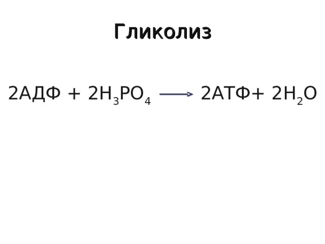 Гликолиз 2АДФ + 2Н 3 РО 4 2АТФ+ 2Н 2 О 
