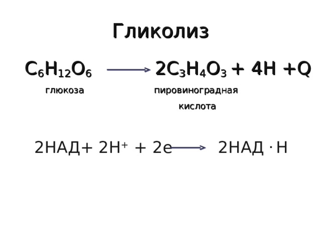 Гликолиз С 6 Н 12 О 6 2С 3 Н 4 О 3 + 4Н + Q глюкоза пировиноградная кислота 2НАД+ 2Н + + 2е 2НАД . Н 